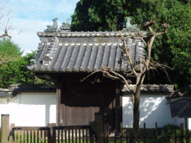 Image1227.jpg (27197 バイト)