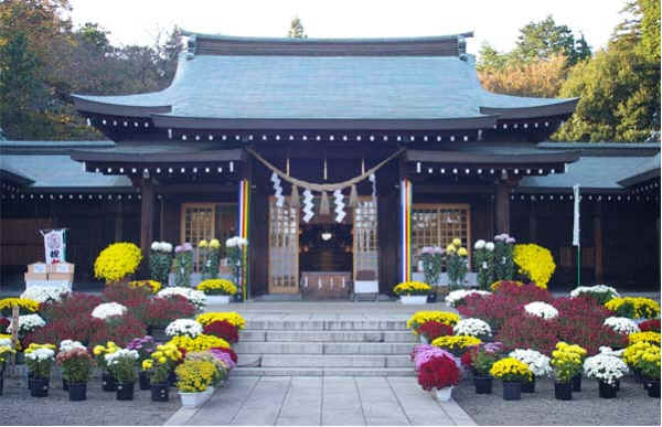 wpe1.jpg (37260 バイト)